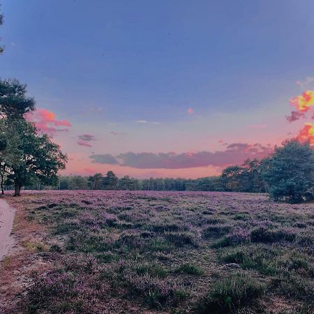 Sluwe Vos: Ontspannen In Het Bos! Otterlo Esterno foto