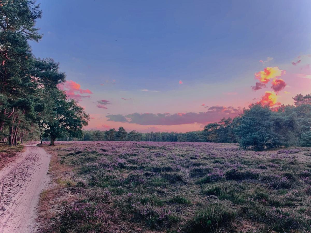Sluwe Vos: Ontspannen In Het Bos! Otterlo Esterno foto
